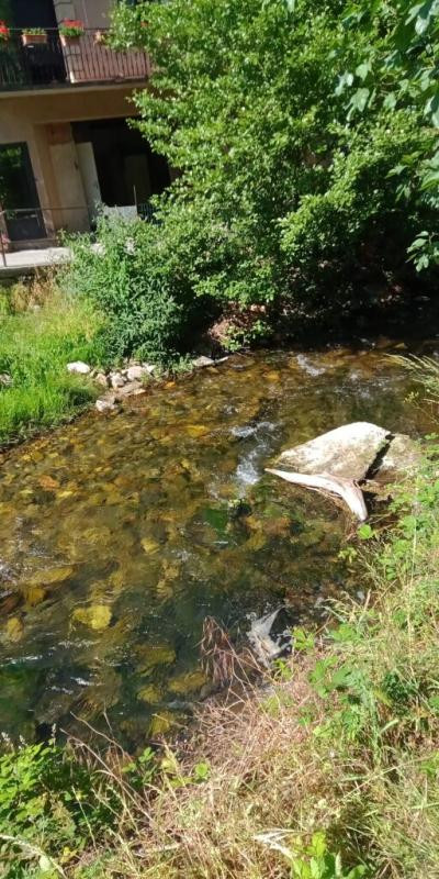 A VENDRE IMMEUBLE ST PONS DE THOMIERES 34220