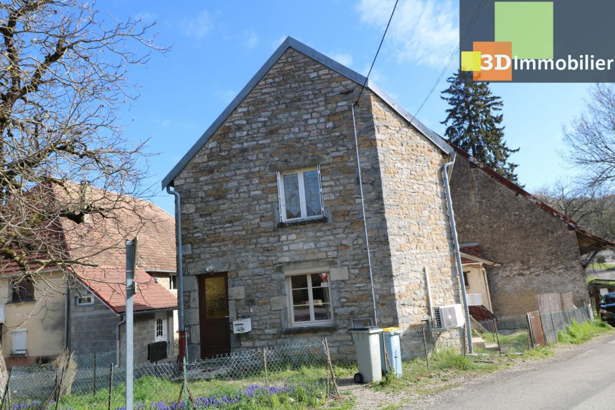 Vends petit immeuble en pierres, bon état avec 2 appartements de 56 et 58m² avec cave, petite cour au centre de Mont sous Vaudrey