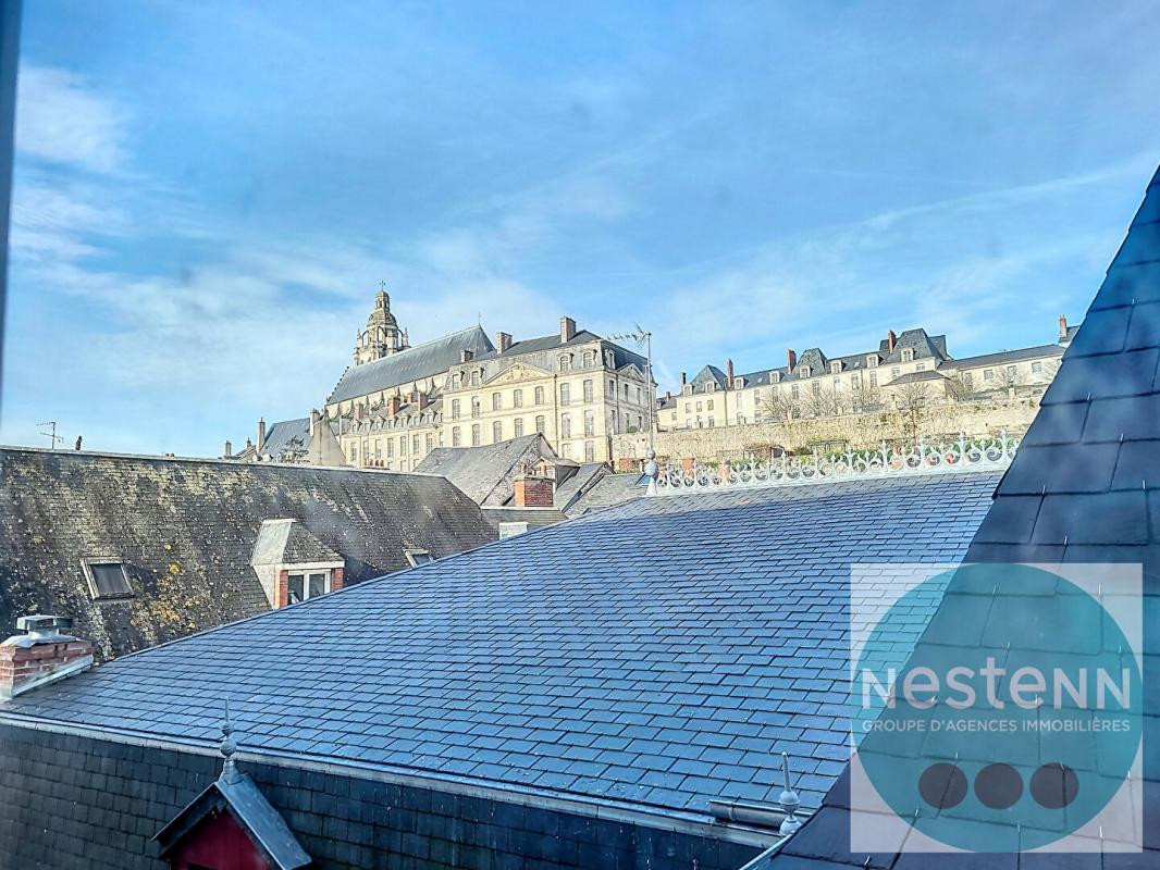 Local commercial / Bureaux face à la Loire à Blois