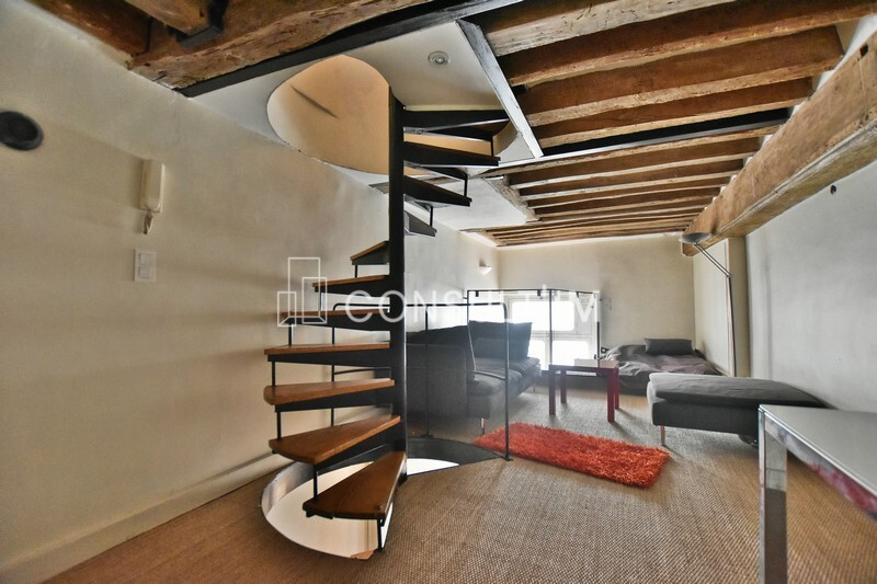 Triplex atypique au Calme sur Cour
