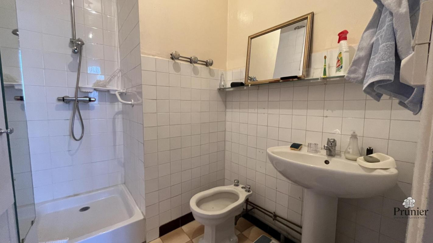Immeuble commercial et d'habitation à vendre en centre ville
