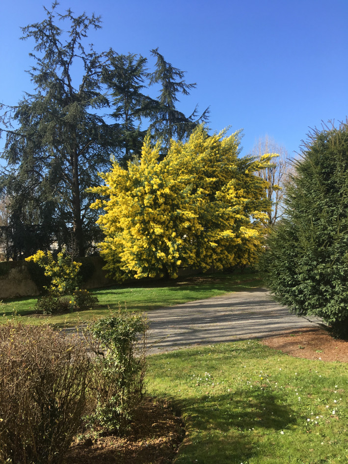 À LOUER Bureau 20 m2 insonorisé - temps plein > Nantes - Beauséjour