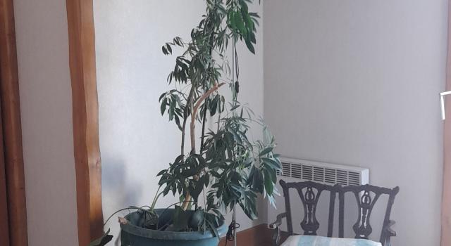 appartement 2 pièces  à vendre la Ferté sous Jouarre