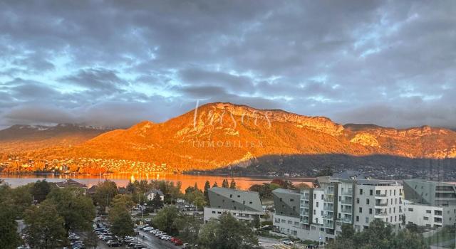 Rive est, Veyrier du Lac, Murs commerciaux et Hotel sur 559m2 de terrain