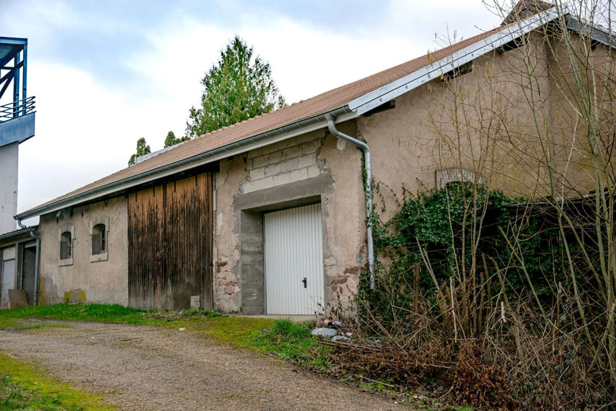 Immeuble - 637 m2