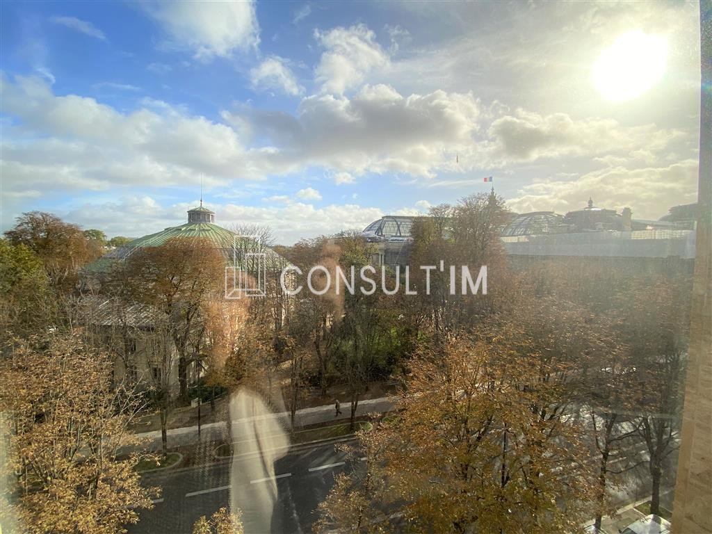 Avenue Franklin D Roosevelt avec une magnifique vue dégagée sur le Grand Palais