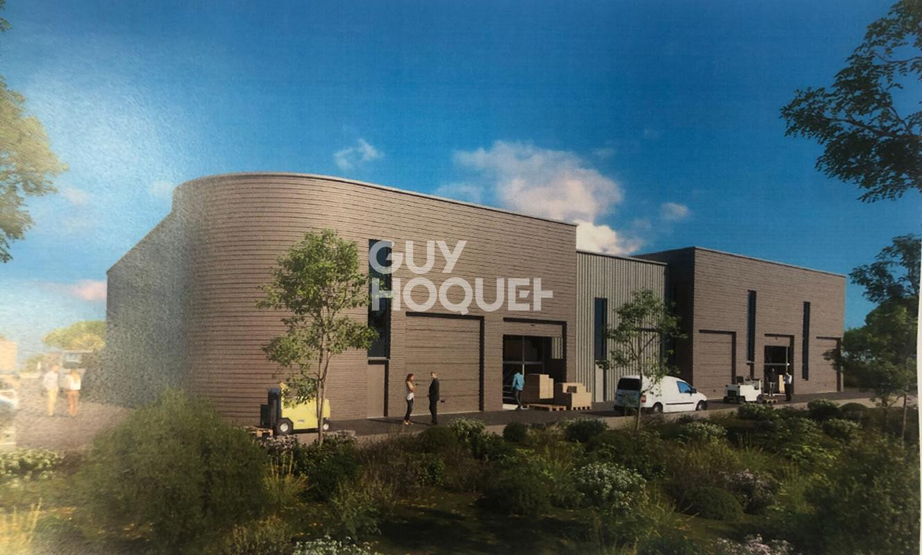 Locaux d'activité Saint Georges D Orques 132.4 m2
