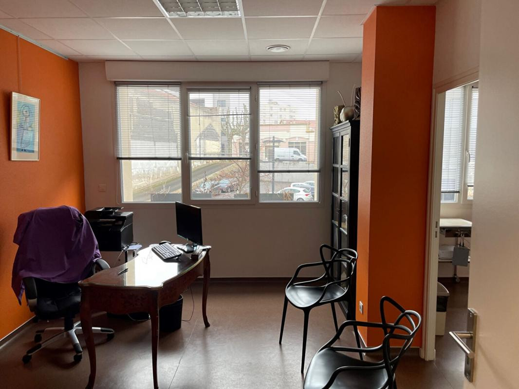 LOCAL PROFESSIONNEL ROANNE