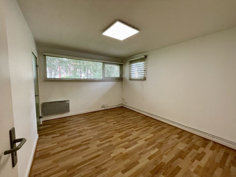 LOCAL PROFESSIONNEL - LONS PERLIC -