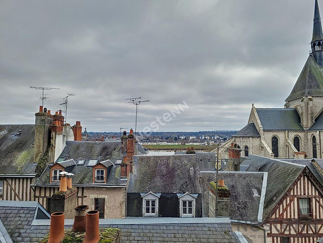 41.Murs commerciaux Bar + 2 appartements Blois