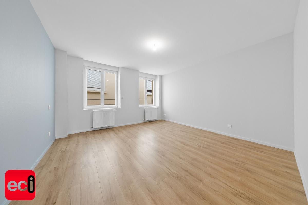 INVESTISSEUR : Lot de 5 logement + double gge, cour et cave