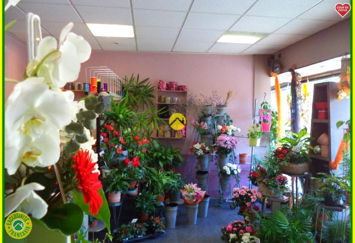 HABITATION / LOCAL COMMERCIAL