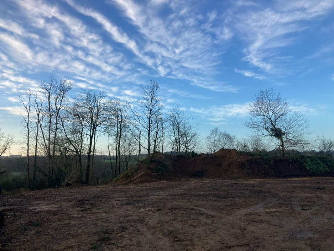 TERRAIN AGRICOLE  PLUVIGNER