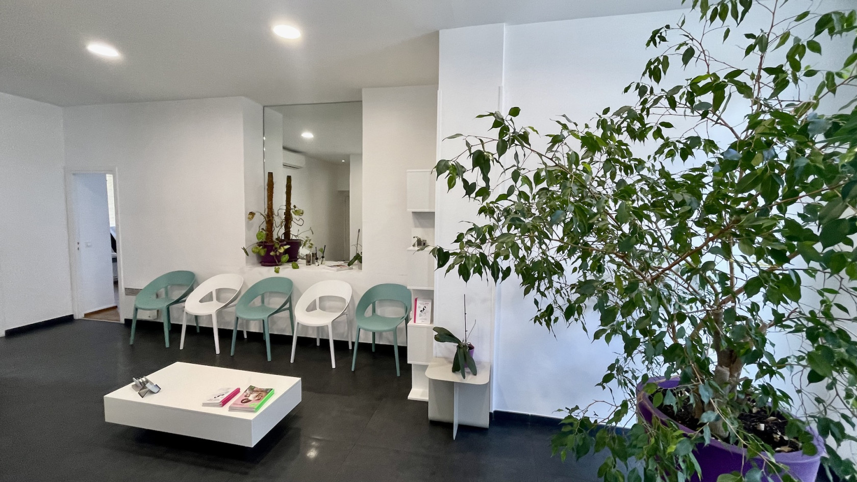 CAP D'AIL CENTRE • LOCAL VIDE IDÉAL KINÉ, INFIRMIERS ET OSTHÉOPATHES