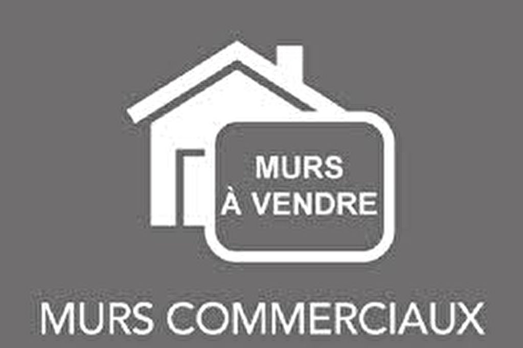 41.Murs Selles St Denis 785 m2