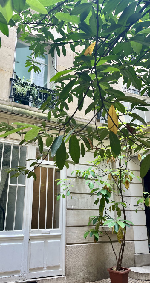 Espace Thérapeutique à Louer – Paris 9ᵉ