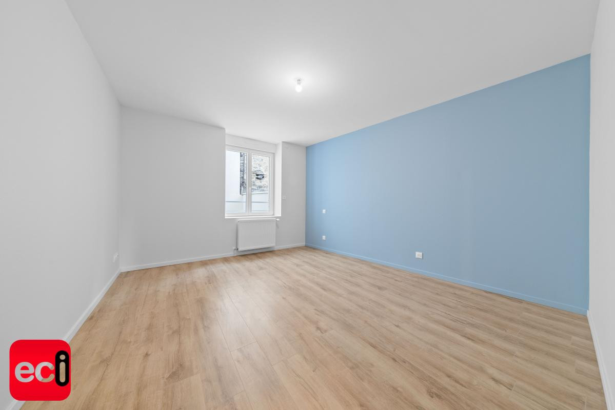 INVESTISSEUR : Lot de 5 logement + double gge, cour et cave