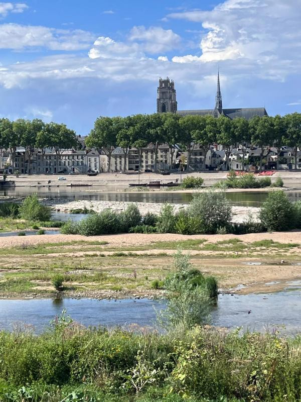 BUREAU D'ACTIVITÉ DE 21 M2 À LOUER BORD DE LOIRE LOIRE