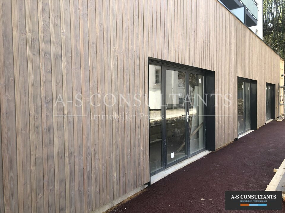 LOCAL PROFESSIONNEL A VENDRE