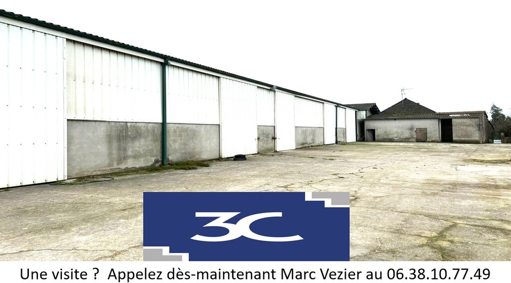 Immeuble de rapport et ensemble immobilier 6000 m2