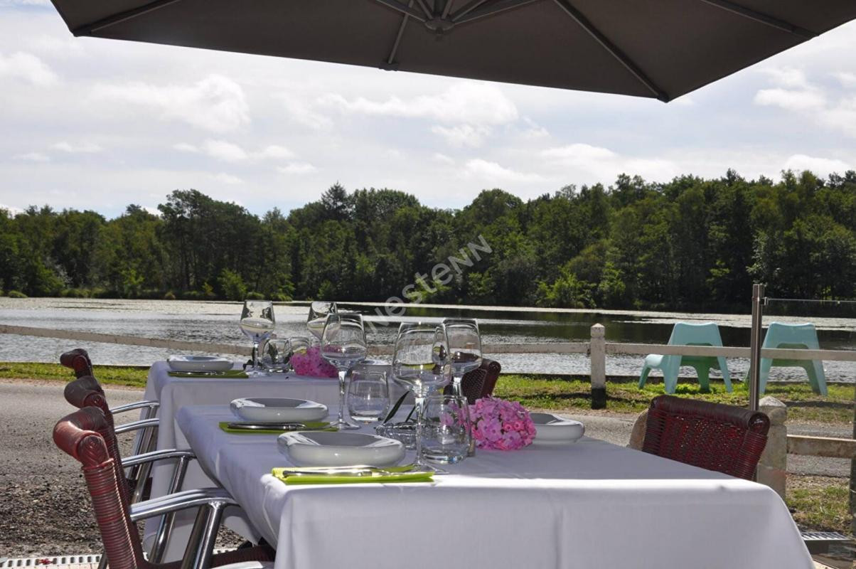 41. Murs d'Hôtel/Restaurant Nouan le Fuzelier