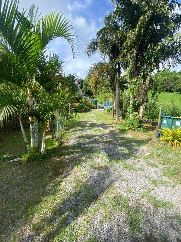 Villa professionnelle 80 m2, Trinité, récente