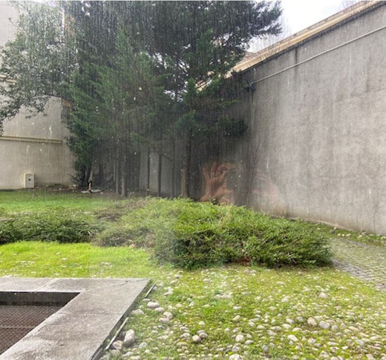 Dans un complexe immobilier de bureaux au pied de l'A13 et du Pt de St Cloud