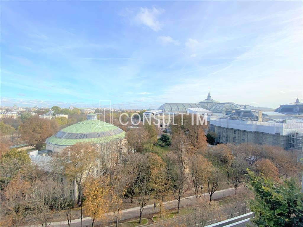00Avenue Franklin D Roosevelt avec une magnifique vue dégagée sur le Grand Palais