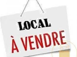 MURS A VENDRE POUR PROJET LE PALAIS SUR VIENNE