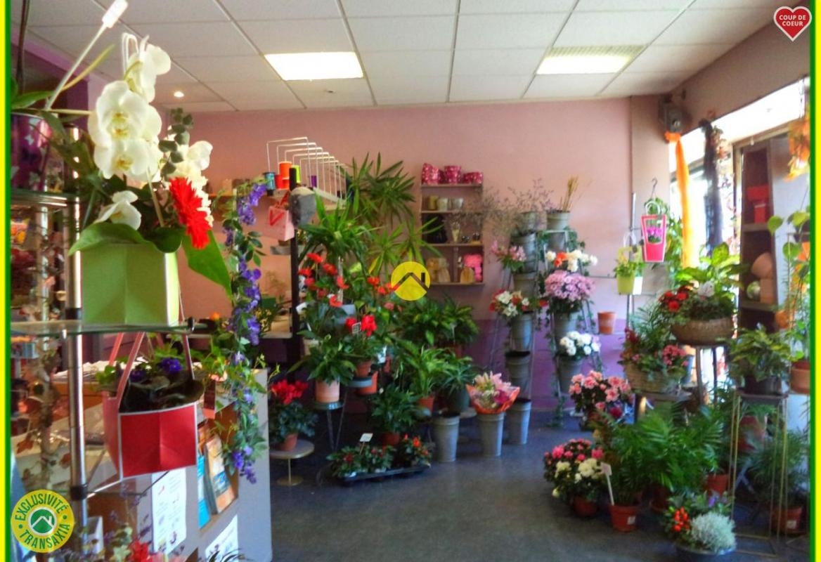 HABITATION / LOCAL COMMERCIAL