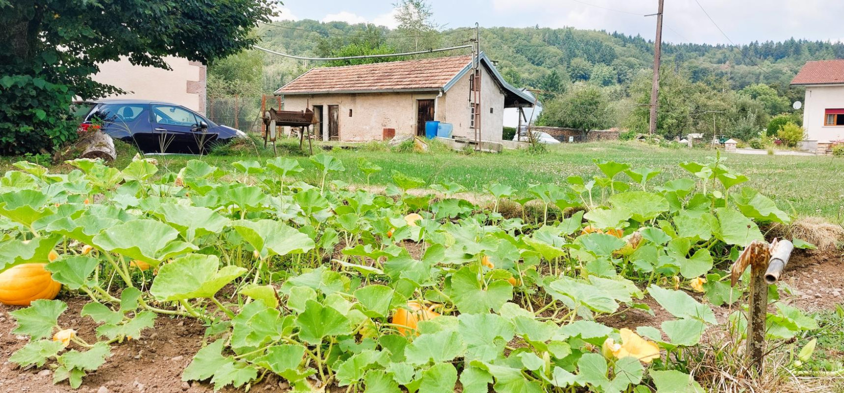 130KM de BALE/SAINT LOUIS - 1000 ETANGS - ANCIENNE FERME 200 M² HAB. - DEPENDANCES - Village 350hab. (350)