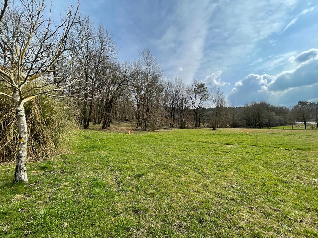 Bâtiment commercial sur 5642 m² de terrain