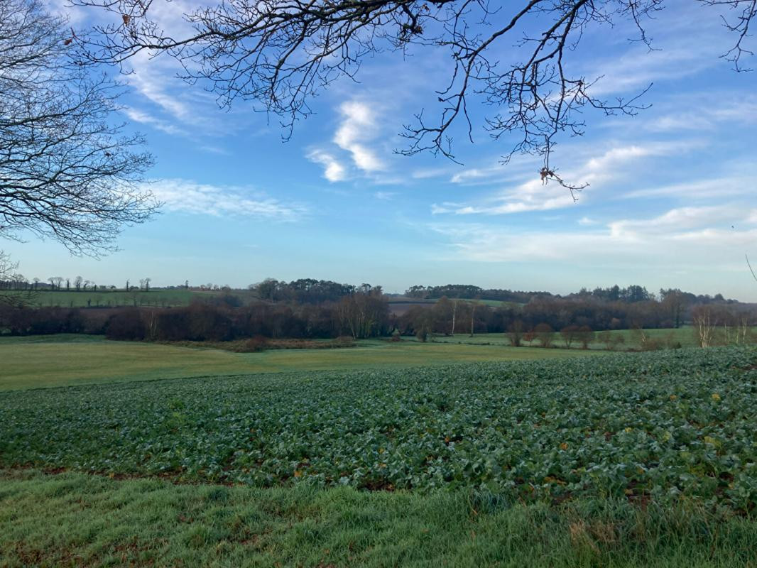 TERRAIN AGRICOLE  PLUVIGNER