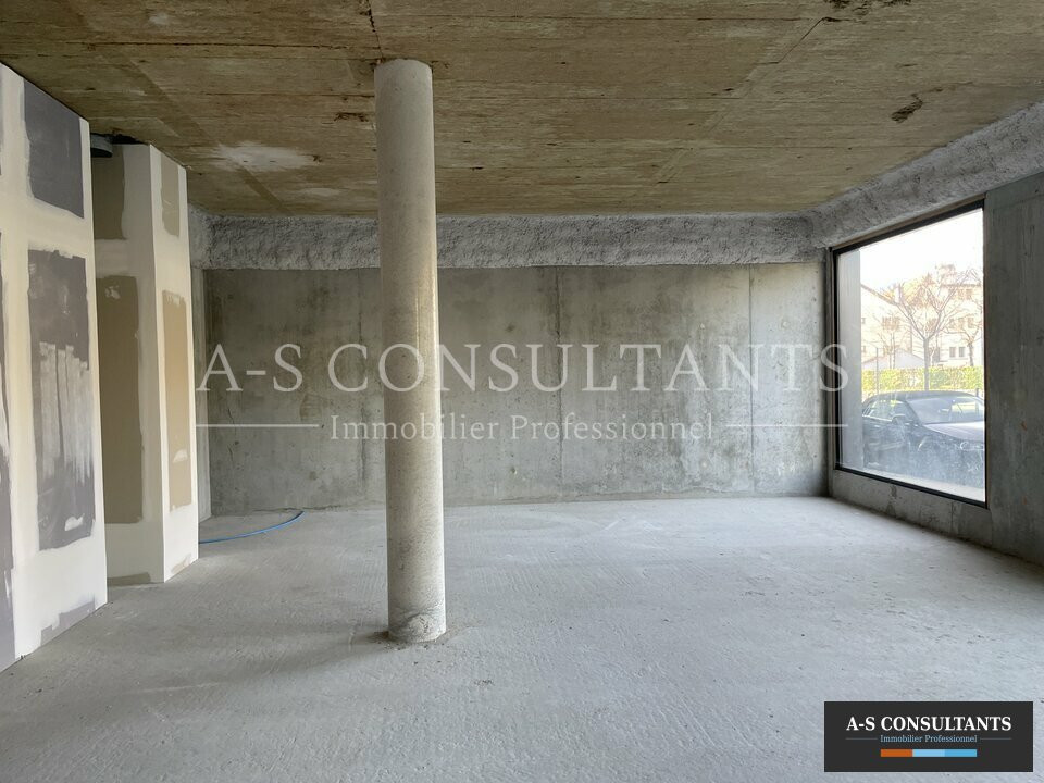 LOCAL PROFESSIONNEL A LOUER