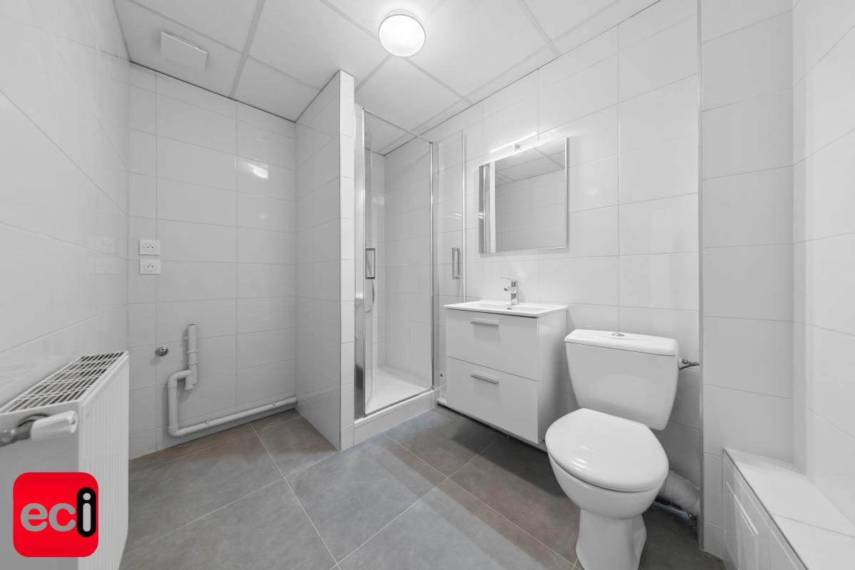 INVESTISSEUR : Lot de 5 logement + double gge, cour et cave