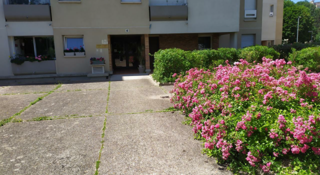 Loue local à ermont