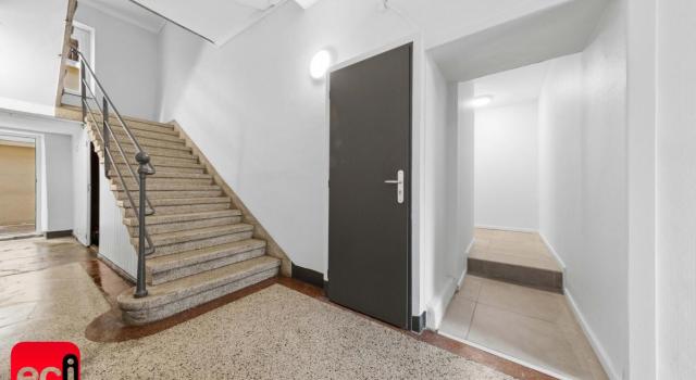 INVESTISSEUR : Lot de 5 logement + double gge, cour et cave