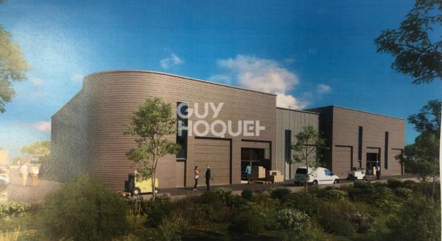 Locaux d'activité Saint Georges D Orques 132.4 m2