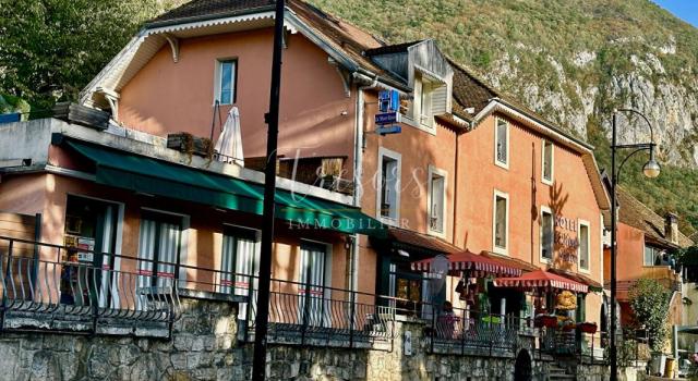 Rive est, Veyrier du Lac, Murs commerciaux et Hotel sur 559m2 de terrain