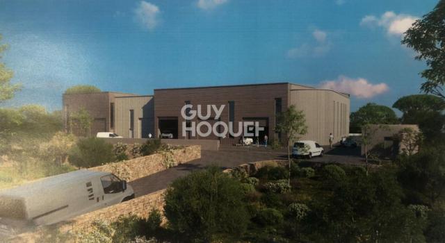 Locaux d'activité Saint Georges D Orques 132.4 m2