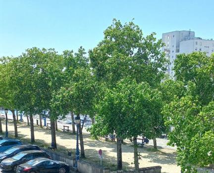 BOULEVARD GUIST'HAU
Référence 5717 - #385