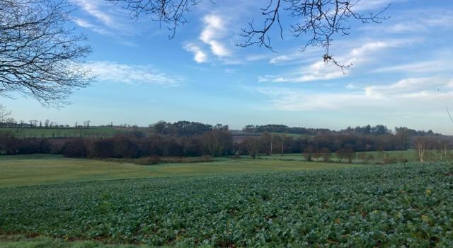 TERRAIN AGRICOLE  PLUVIGNER